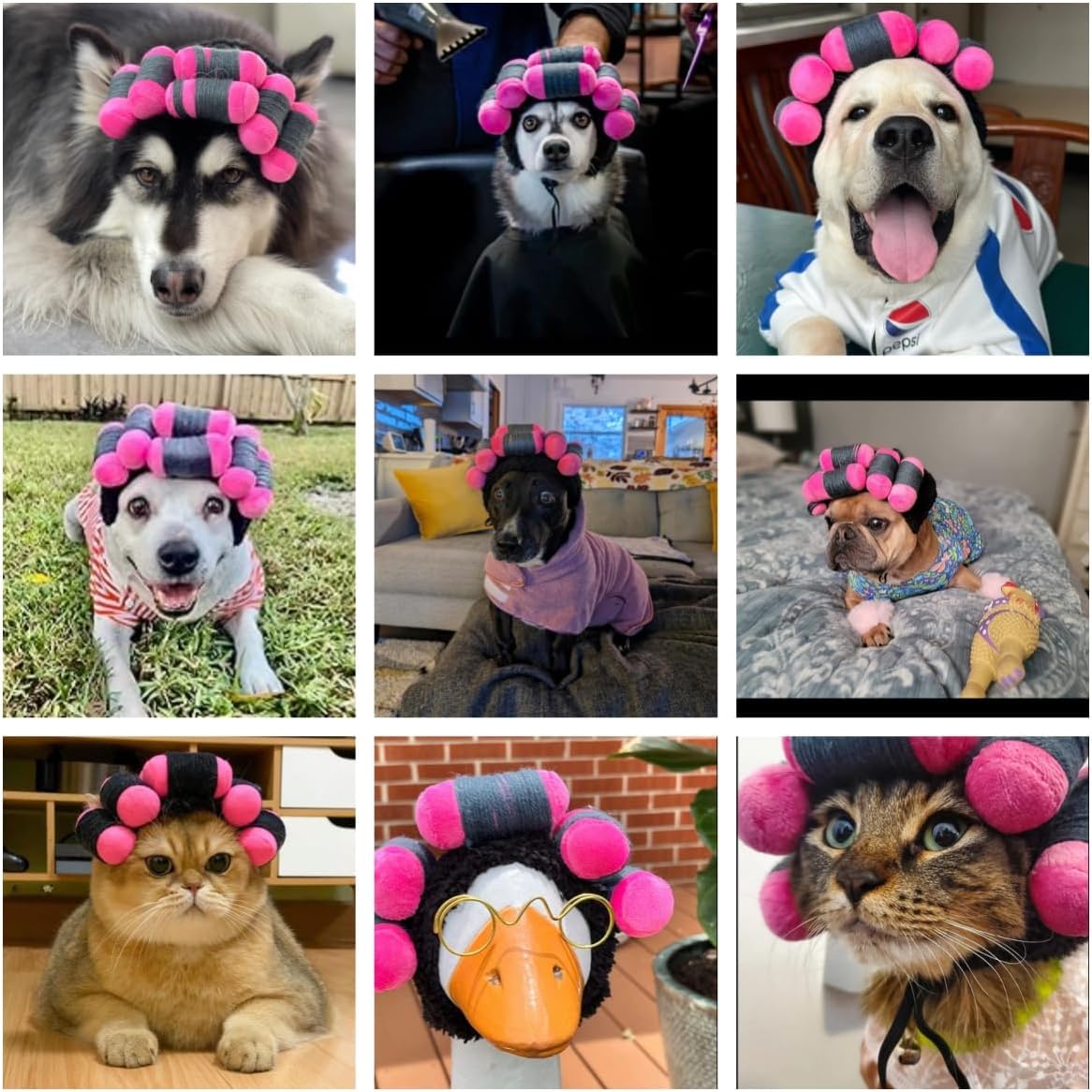 Funny Dog Curler Wig Costume & Glasses - Adjustable, Soft & Warm Pet Wig for Small, Medium & Large Dogs & Cats - Perfect for Halloween, Christmas & Parties (Fits Pet Head Circumference 6-27 Inch)