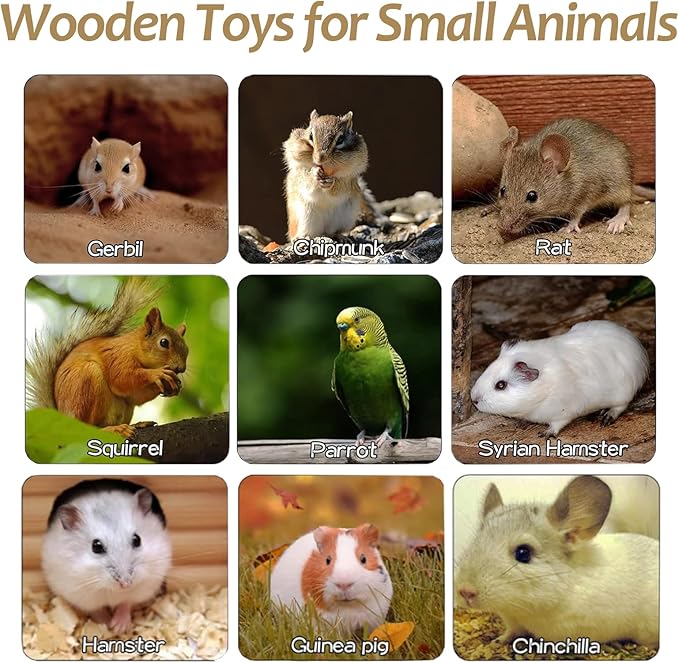 Wooden Hamster Cage Platform Set 9 Pack Wood Juvenile Chinchilla Shelves, Squirrel L-Shape Corner Ledge with Hole Cooling Standing Board, Rat Cage Accessories for Gerbil Small Animal Climbing