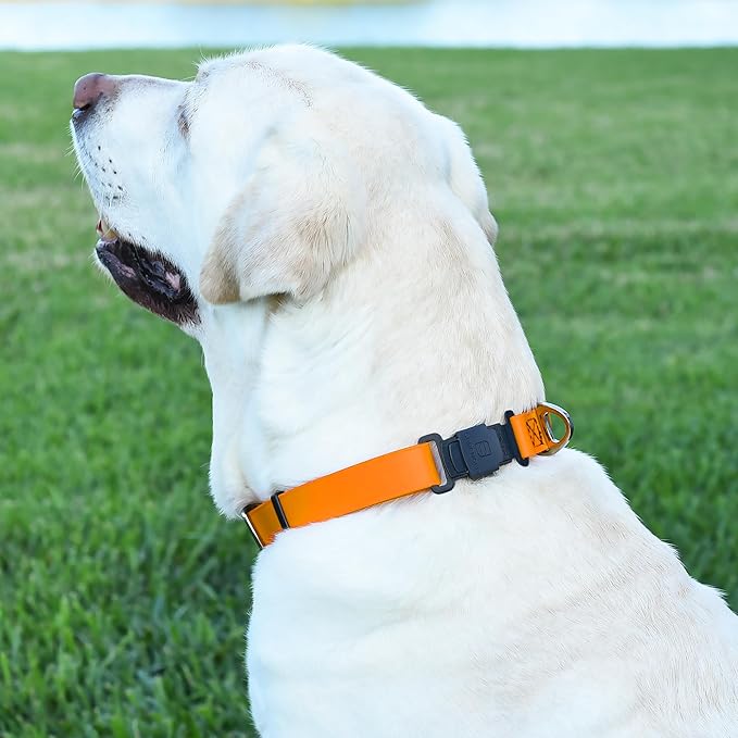 Dogline Biothane Waterproof Dog Collar with Herm Sprenger Black Stainless Steel Quick Release Buckle – Heavy Duty Tactical Durable Collar for Dogs – Comfortable Pet Collar W3/4" L12-19 Tangerine