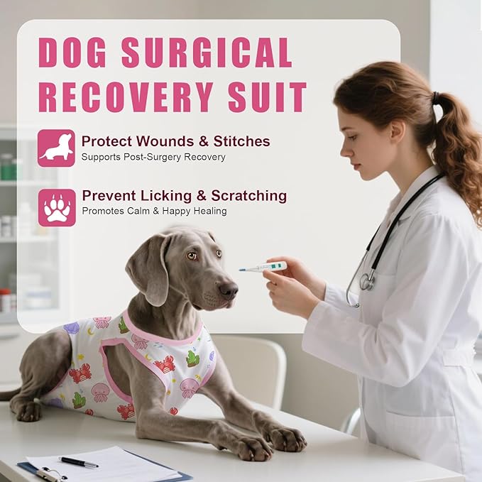 Recovery Suit for Dogs After Surgery, Professional Dog Surgical Suit for Female Spay, Male Neuter, E-Collar & Cone Alternative Dog Onesie for Abdominal Wounds Skin Disease, Jellyfish, XXL