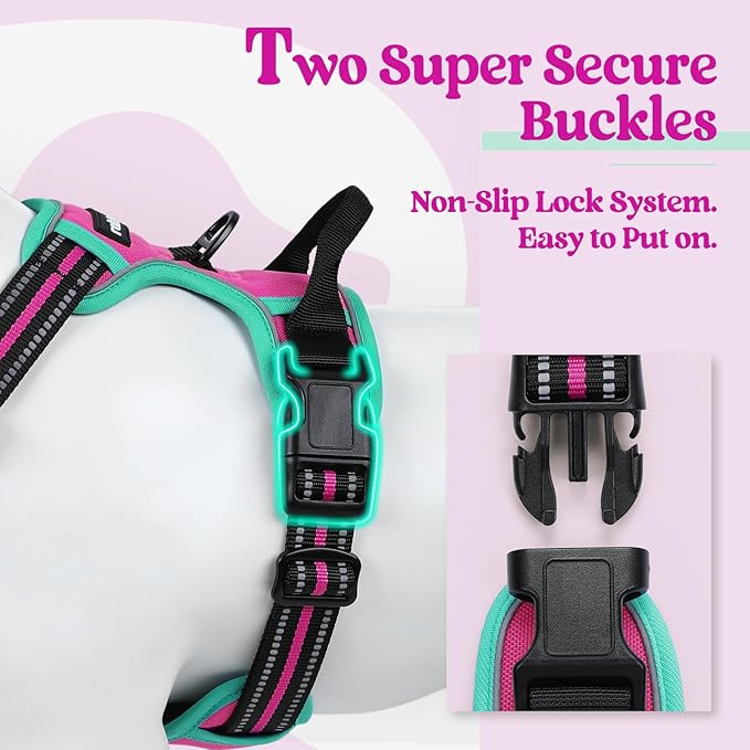 rabbitgoo Dog Harness No Pull with 2 Leash Clips, Adjustable Soft Padded, Reflective Oxford No Choke Pet Vest with Easy Control Handle for Large Dogs, Hot Pink & Turquoise, L
