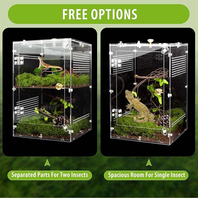 Large Jumping Spider Enclosure, 2 in 1 Acrylic Reptile Terrarium for Praying Mantis,Arboreal Tarantula,Frogs,Snails, 12"*8"*8" Breeding Habitat with Front & Top Opening Doors and Vent Holes
