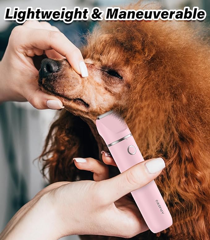 Casfuy Cordless Dog Paw Trimmer - Low Noise Small Dog Clippers with Double Blades USB Rechargeable Grooming Clipper for Dogs Cats and Small Pets for Trimming Hair Around Paws, Eyes, Ears, Face, Rump