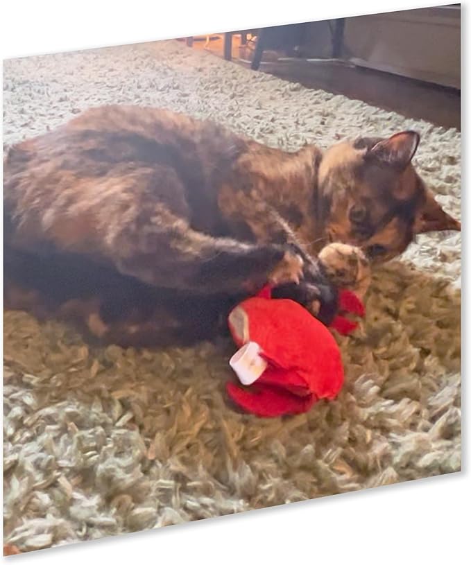 ZOOMIE Crab - Refillable Catnip Toy + Catnip | High Potency Hand Harvested Fresh | Soft Plush for Engaging Play