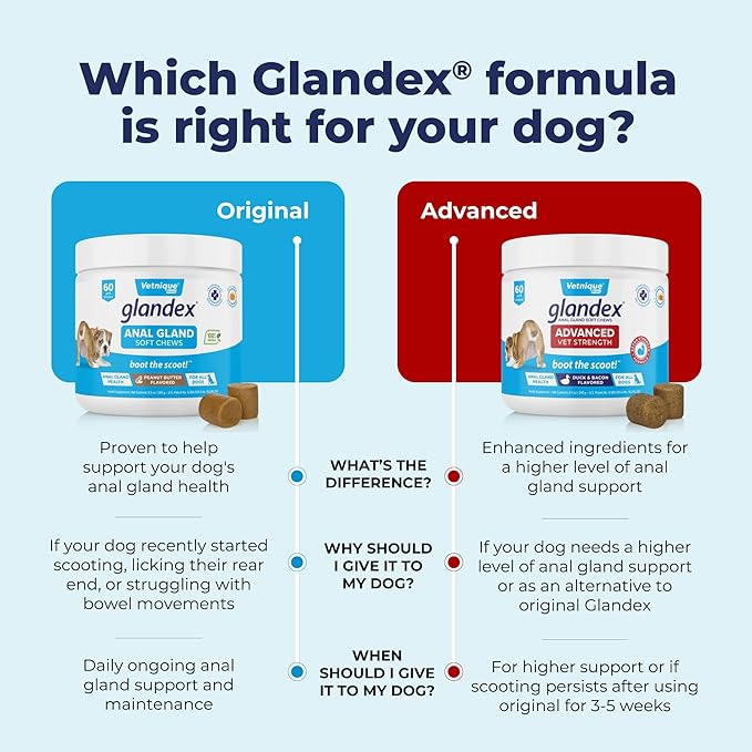 Vetnique Labs Glandex Anal Gland Soft Chew Treats with Pumpkin for Dogs Digestive Enzymes, Probiotics Fiber Supplement for Dogs Boot The Scoot (Peanut Butter Chews, 30 Count)