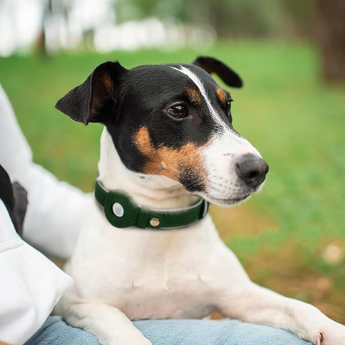 OOPSDOGGY Reflective Geniune Leather Airtag Dog Collar Soft Padded Collars for Small Medium Large Breed Dogs Puppy, 4 Sizes, 7 Colors (Green, Large, 15"-19")