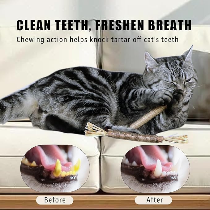 Pet Hair Removal Glove for Furniture, Carpet, Clothes and Car Seats, Electrostatic Cat & Dog Hair Removal Tool, Eco-Friendly Reusable Pet Hair Remover Glove with Silvervine Sticks (2 Gloves & 1 Stick)