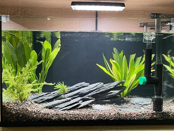 Natural Slate Stone Rocks 2 to 8 inch Aquariums Stone for Aquascaping,Terrariums, Reptile Enclosures,Paludariums,and Gardens-20lb