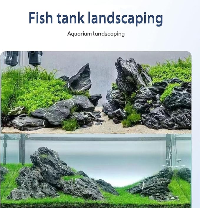 Natural Rocks Seiryu Stones Aquariums Stones for Aquascaping, Aquariums, Terrariums, Vivariums Decorative Stone,Reptile Enclosures,Paludariums,and Gardens-10LB（2 to 7 inch）