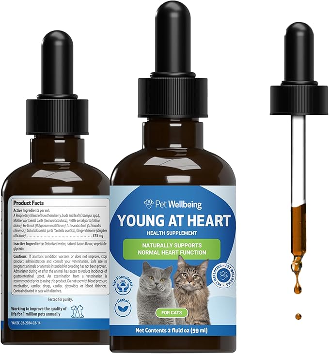 Pet Wellbeing Young at Heart for Cats - Heart Health, Circulatory & Cardiovascular System, Hawthorn, Motherwort, Schisandra - Veterinarian-Formulated Herbal Supplement 2 fl oz (59 ml)