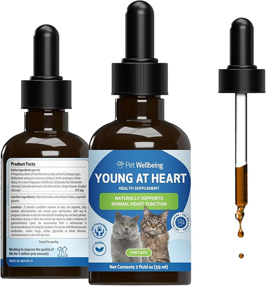 Pet Wellbeing Young at Heart for Cats - Heart Health, Circulatory & Cardiovascular System, Hawthorn, Motherwort, Schisandra - Veterinarian-Formulated Herbal Supplement 2 fl oz (59 ml)