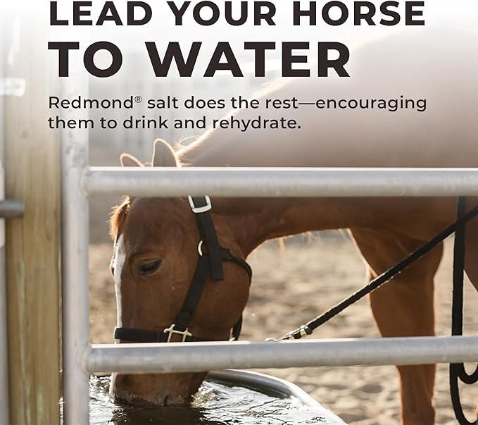 Redmond Daily Red | Horse Vitamins and Minerals Supplement