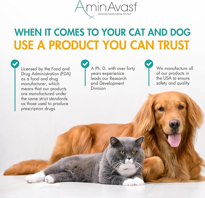AminAvast Small Dogs & Cat Kidney Support - Promotes Healthy Kidney Support in Cats & Small Dogs - 300mg, 60 Capsule
