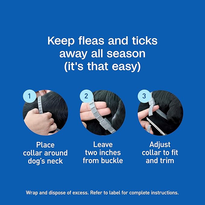 Adams Flea & Tick Collar Plus for Dogs & Puppies |2 Pack |12-Month Protection |One Size Fits All Dogs & Puppies 12 Weeks and Older |Kills Fleas and Ticks |Repels Mosquitoes (excluding California)