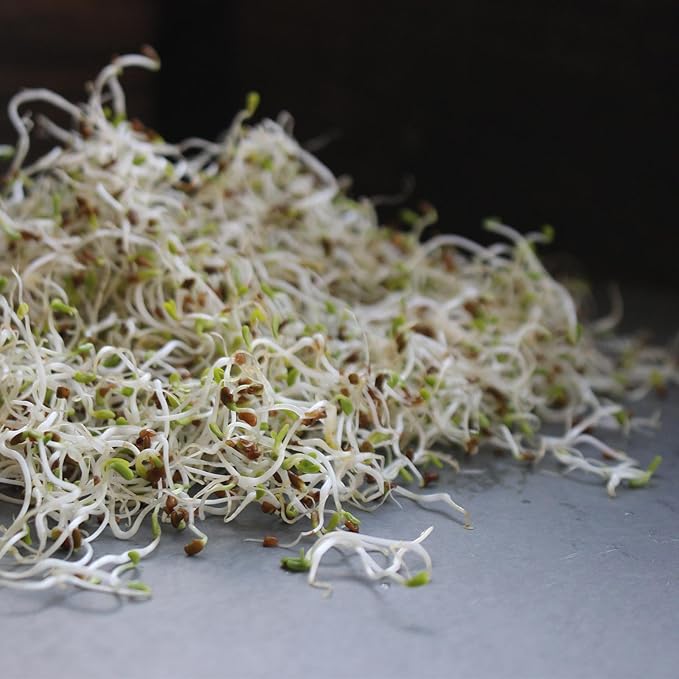 Handy Pantry Organic Birdseed - 1 Lb - Sprouting Bird Seed Mix for Small, Medium & Large Birds- Feed for Songbirds, Parakeets, Parrots, etc