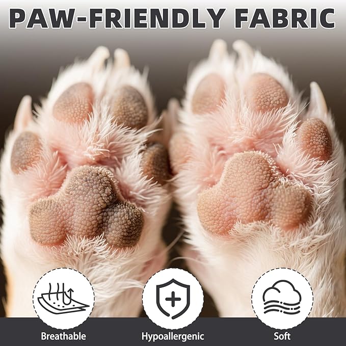 KOOLTAIL Dog Socks for Hot Pavement, Summer Breathable Dog Socks to Prevent Licking Paws, Non Slip Pet Boots & Paw Protectors for Hardwood Floor,Grippy Shoes for Small Medium Large Senior Dogs,Black M