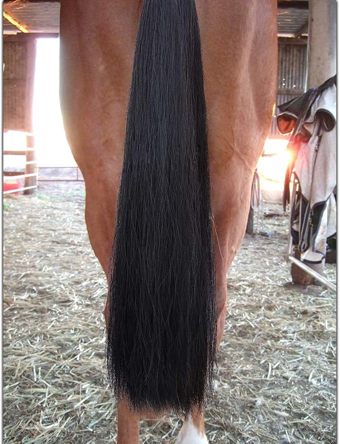 Horse Tail Extensions with Braided Horsehair Loop, Blunt Cut Bottom, 28-30 inches Long and 3/8 lb Weight