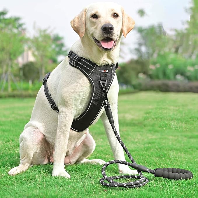 No Pull Dog Harness Adjustable Reflective Oxford Easy Control Medium Large Dog Harness with A Free Heavy Duty 5ft Dog Leash (XL (Neck: 21.5"-33", Chest: 30"-39.5"), Black Harness+Leash)