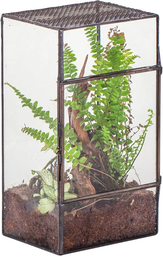 NCYP Glass Terrarium with Door and Mesh for Small Insects - 5.1 x 3.9 x 9 Inches Rectangle Reptile Habitat, Black - Modern Home Tabletop Decor (Terrarium Only)