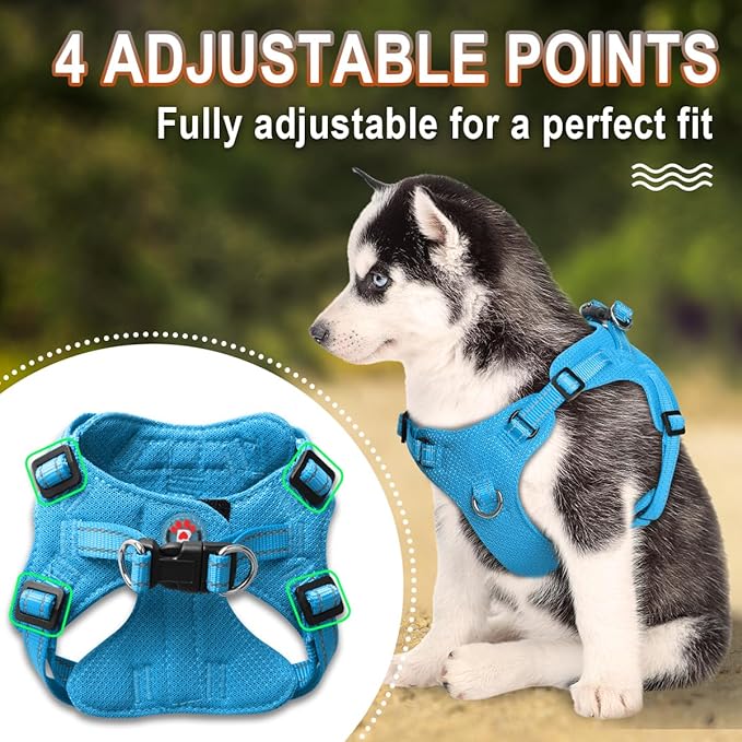Dog Harness Step in Dog Vest Harness, Reflective Adjustable Puppy No Pull Harness Breathable Soft for Small and Medium Dogs Cats, Blue, XS