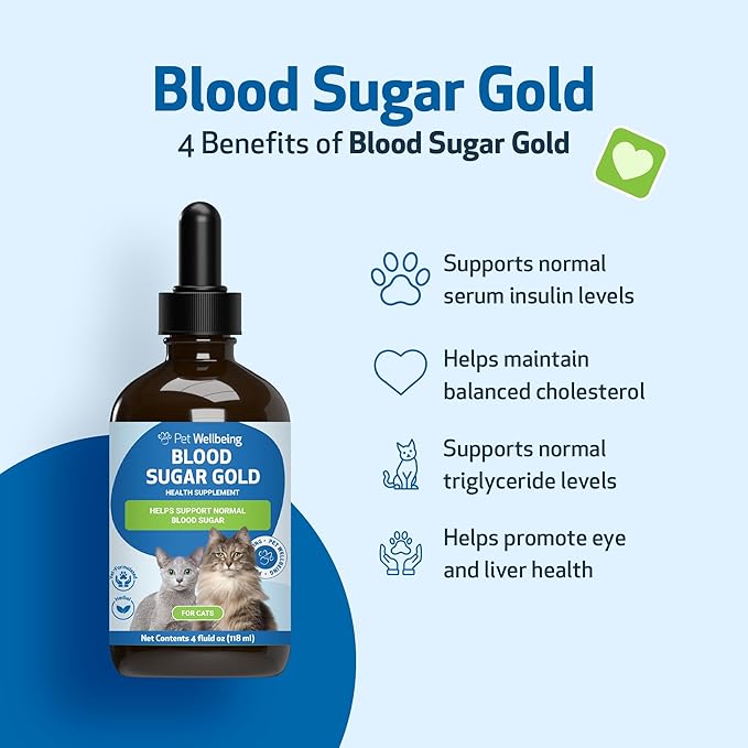 Pet Wellbeing Blood Sugar Gold for Cats - Healthy Blood Sugar Levels, Pancreas & Liver Function, Devil’s Club, Gymnema - Veterinarian-Formulated Herbal Supplement 4 oz (118 ml)