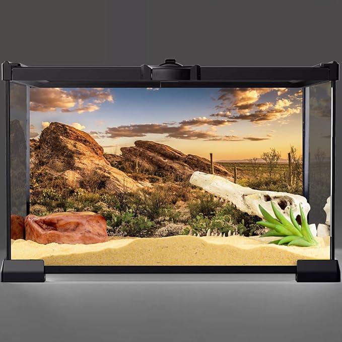 AWERT Reptile Habitat Background Blue Sky Oasis Cactus Sun and Desert Terrarium Background 36x20 inches Durable Polyester Background