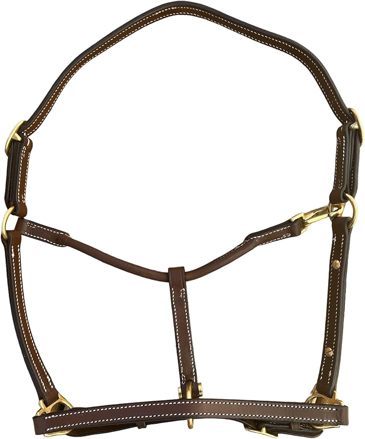 Leaders 3/4" Leather Halter for Horses with Customized Engraved Name Plate Brown Leather with Solid Brass Hardware