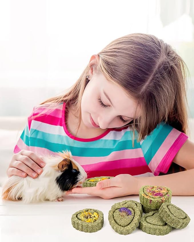 Sofier 12Pcs Timothy Hay Treats - Natural Chews for Teeth - Handmade Rabbit, Chinchilla, Gerbil, Rat, Hamster Toys - Bunny & Guinea Pig Toys