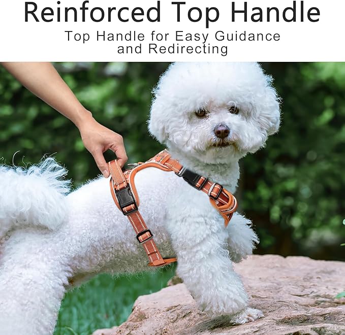 Timos Dog Harness, No Pull Dogs Harness 3 Snap Buckles Adjustable Reflective No Choke Pet Vest for Small Dog with Soft Padded Control Training Handle for Outdoor Training,Flower Orange, XS