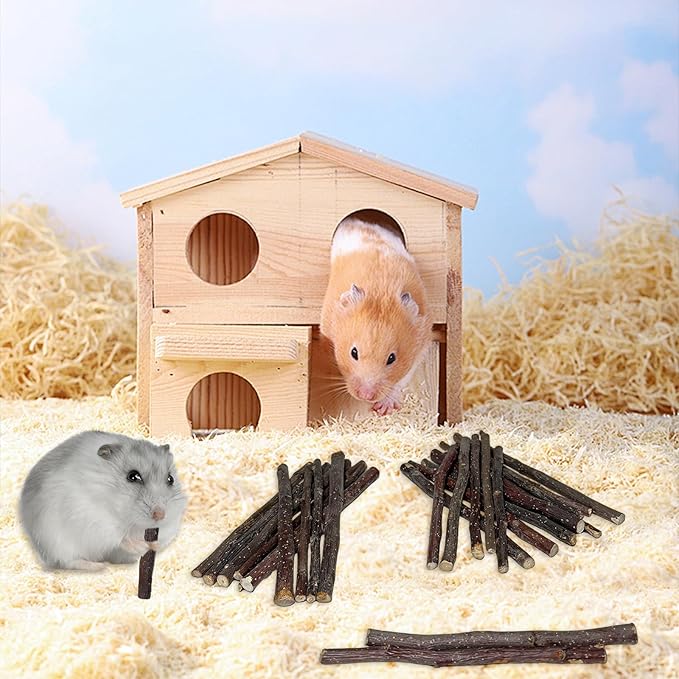 600g Apple Sticks Small Animals Wooden Pet Chew Treats Toys for Guinea Pigs Hamsters Rabbits Chinchillas Squirrels Small Animal Molar Wood Treats Toys