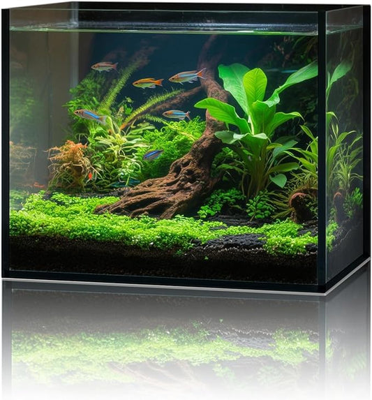 2.6 Gallon Glass Fish Tank Cube, Small Aquarium Fish Bowl for Betta Goldfish Snails Shrimp Aquatic Planting, Easy to Maintain Ultra Clear Rimless Design for Desktop Small Spaces
