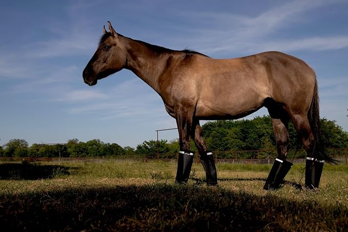 Warrior Fly Boots for Horses - Breathable Mesh Horse Boots for Fly Protection & Leg Comfort - Set of 4 (Knight Warrior, Neon Pink)
