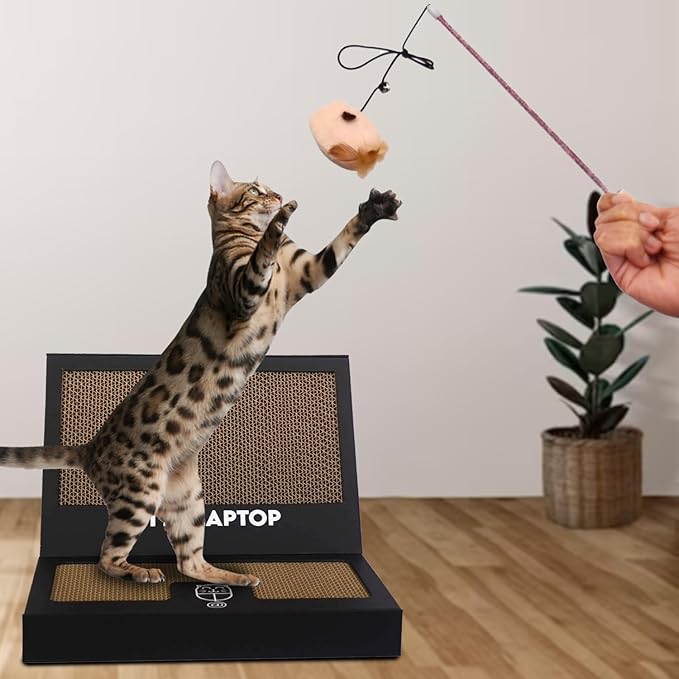 Toy Cat Laptop with 2 Scratchboards + Catnip Mouse Toy for Cats + 50pack Cat Sticker - Interactive Eco-Friendly Cat Computer with Scratch Pad Laptop for Cats - Mini Cat Laptop