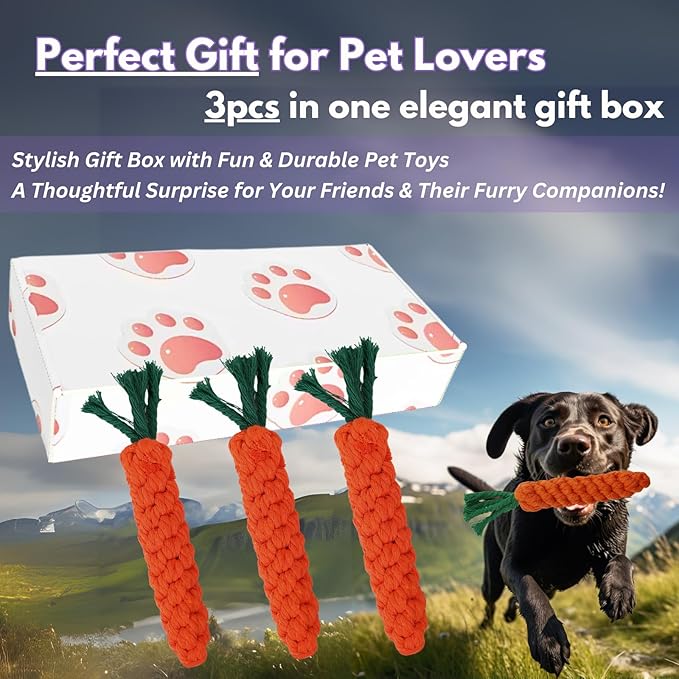 3PCS Orange Woven Pet Chew Set, Puppy Teething Chews, Dog Chew Treats, Cat Teething Playset, Safe Braided Chews for Pets, Durable & Interactive