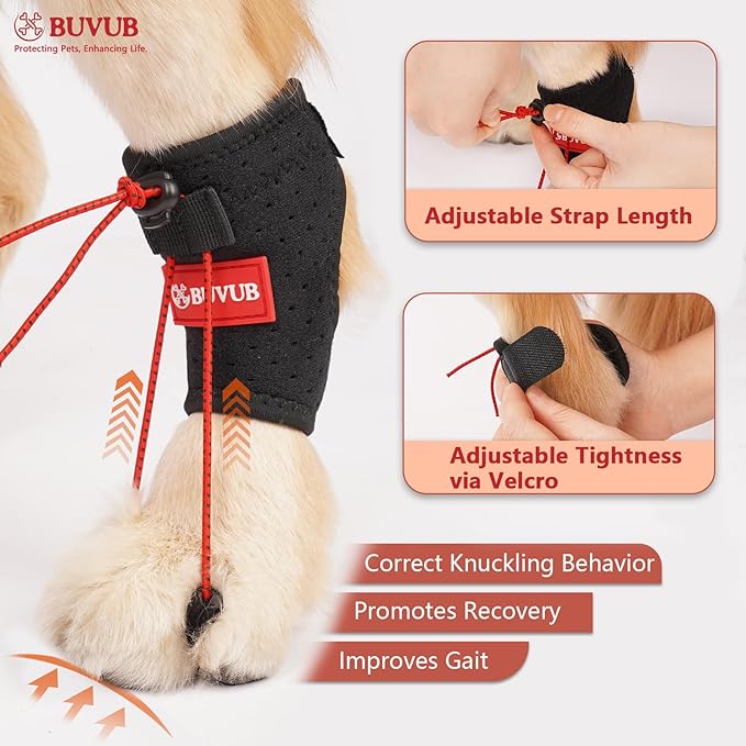 Dog Canine Knuckling Brace Rear Leg Dog Foot Brace Wrap for Toe Dragging Cause by Sciatic Nerve Insufficiency, Myelopathy, Herniated Disc (Small)
