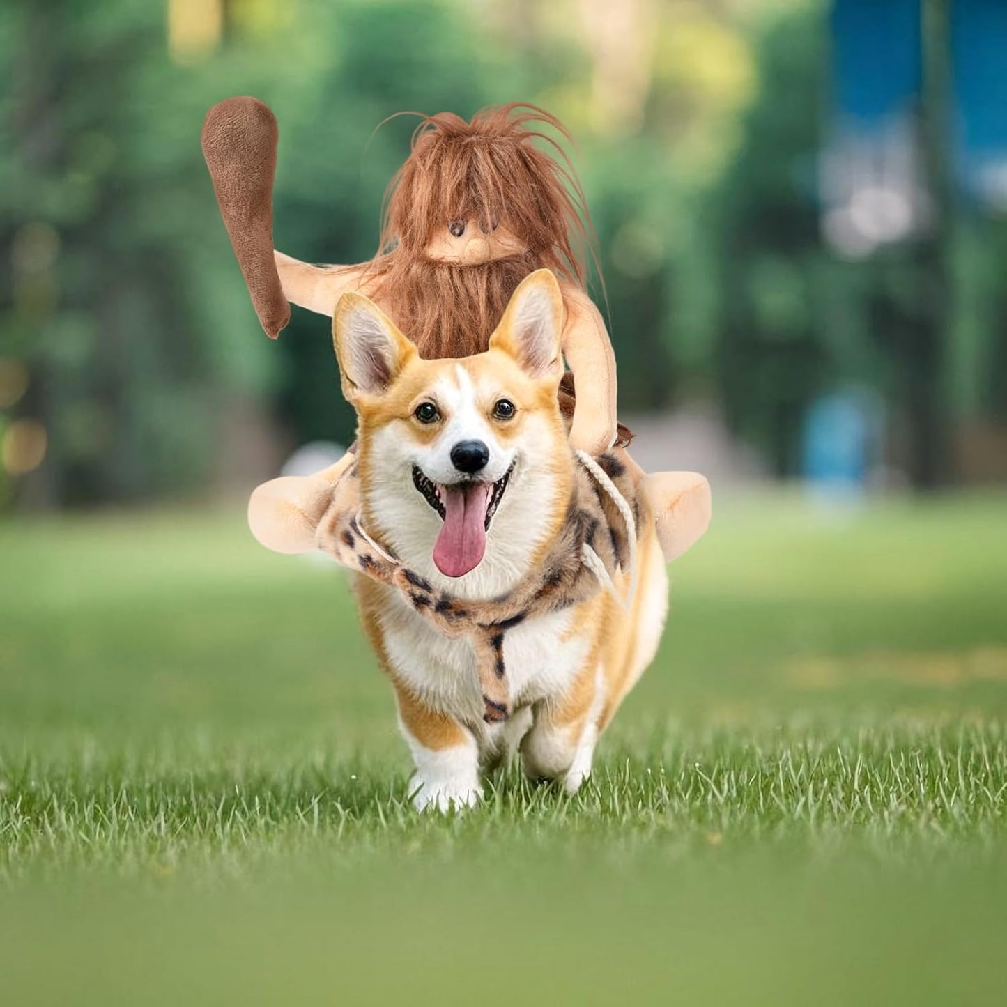 DELIFUR Dog Halloween Costume Funny Dog Cowboy Riding Costume Pet Costume Cat Suit Cowboy Rider Style for Small Medium Large Dogs (Primitive Man, X-Small)