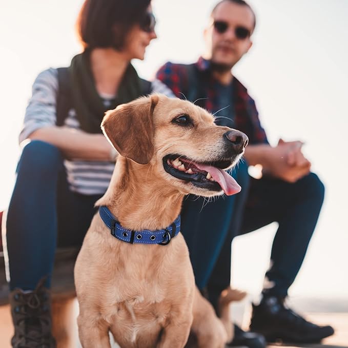Fida Heavy Duty Dog Collar, Ultra Comfortable Soft Neoprene Padded, Adjustable Reflective Nylon Pet Collar with Durable Metal Belt Buckle for Small Breeds (S, Blue)