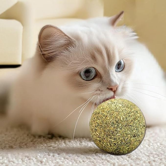 happylain 2 inches Diameter Catnip Ball - Catnip Balls for Cats, Interactive Cat Toy for Indoor Cats, Cat Nip Licking Balls