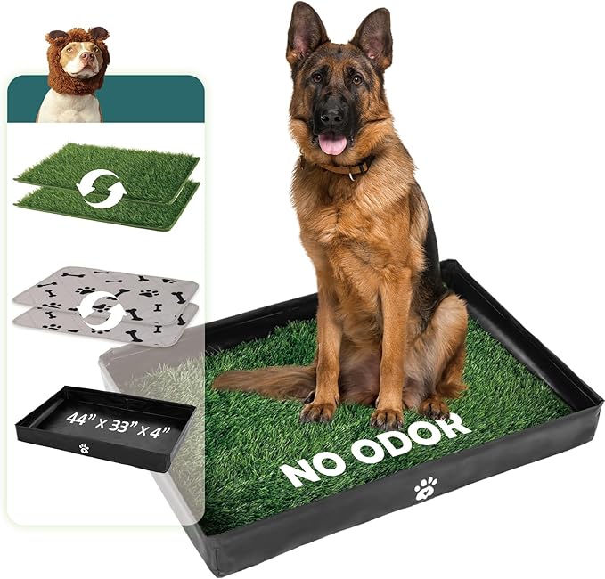 MEEXPAWS Dog Grass Pad with Foldable Dog Litter Box, Extra Large Pee Pad Holder Foldable Liner Base High Side with Odor Free Artificial Grass for Potty Training Balcony, 2 PCS Reusable Pee Pads