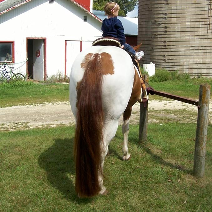 Horse Tail Extensions with Braided Horsehair Loop, Blunt Cut Bottom, 28-30 inches Long and 3/8 lb Weight