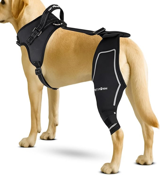 Dog ACL Knee Brace for Back Left Leg - with Integrated Harness - for Cruciate Ligament Injuries, Patellar Luxation, Post-Surgery Recovery. Durable, Breathable Material, Eases Pain - (XSmall)