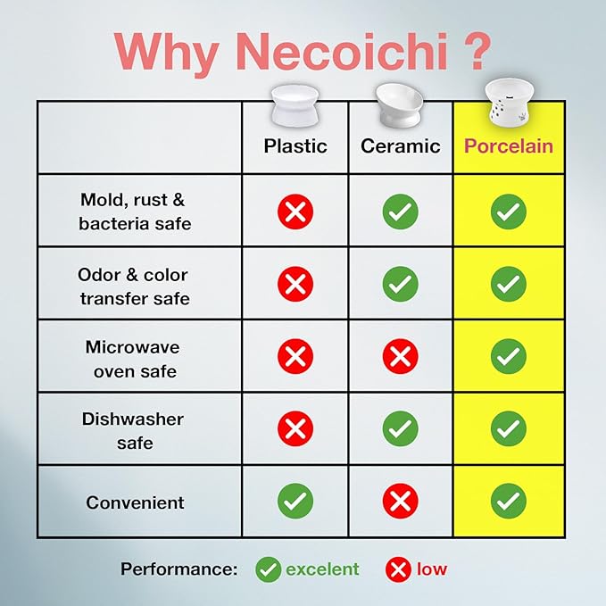 Necoichi Raised Stress Free Cat Food Bowl, Elevated, Backflow Prevention, Dishwasher and Microwave Safe, No.1 Seller in Japan! (Cat, Regular)