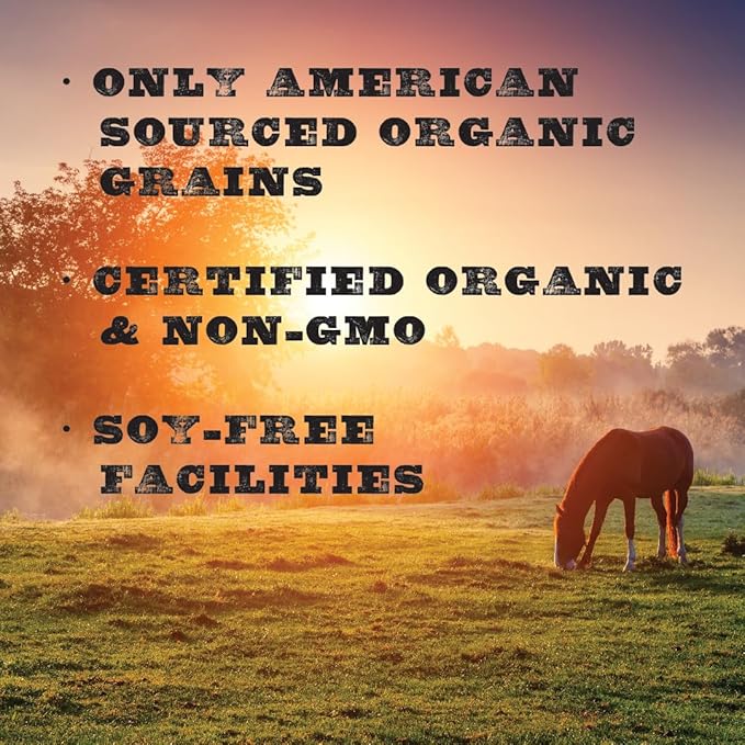 New Country Organics | Loyalty Senior Horse Pellets for Horses 15+ Years Old | Corn-Free and Soy-Free | 16% Protein | Certified Organic and Non-GMO | Nutrition for Senior Horses 40 lbs | Grain Feed