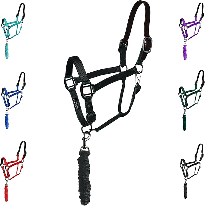 Majestic Ally Leather Halter with Matching Lead Rope for Horses – Leather Breakaway Crown - Adjustable Chin Strap – Rolled Throat Latch – Padded Noseband – Full (Black-Black Nickel, Full)