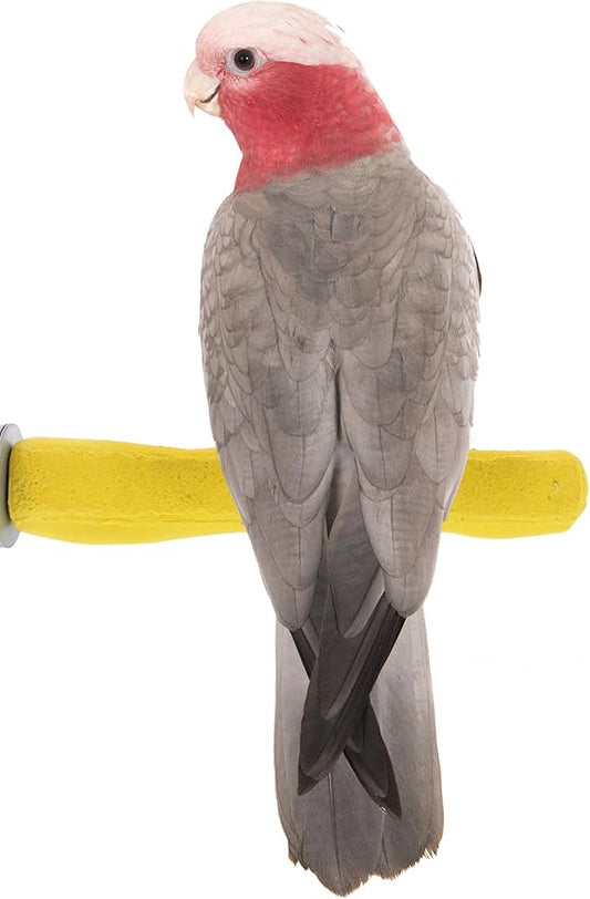 Comfort Grip Safety Perch for Bird Cages - Pedicure Perch for Birds to Keep Nails and Beaks in Top Condition - Safe Easy to Install Bird Cage Accessories - M 8.5"