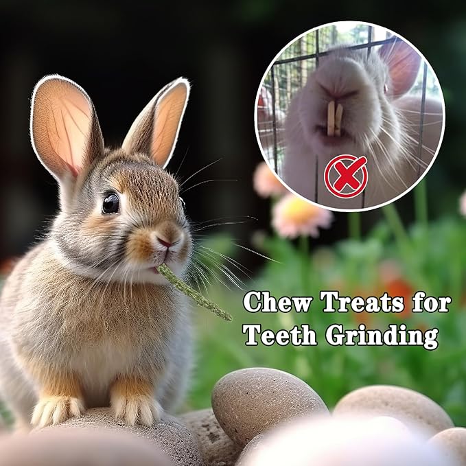 Timothy Hay Pellets 63oz (9 * 7 oz) - 100% Timothy Premium Nutrition Pellet for Tortoise, Rabbits 63 oz