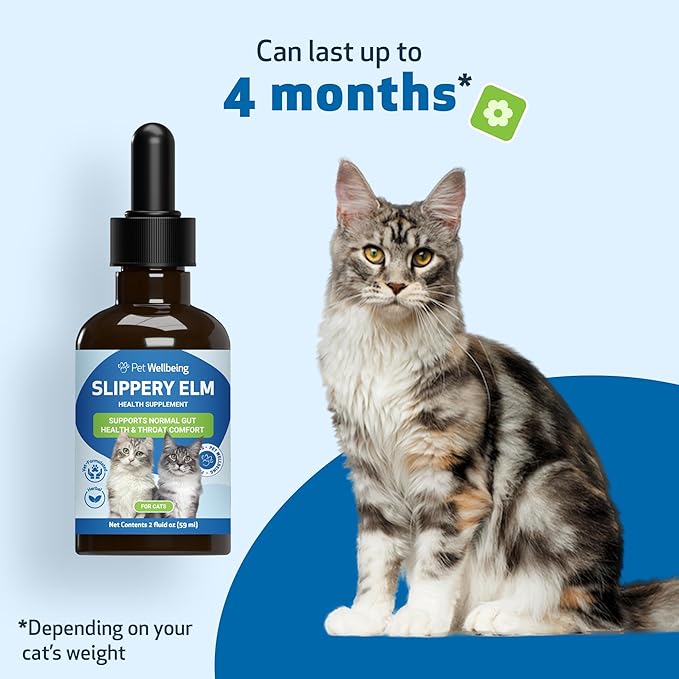 Pet Wellbeing Slippery Elm for Cats - Organic Herb, Supports Healthy Digestive Tract, Gut Lining, Throat Comfort, Lower Urinary Tract Health - Veterinarian-Formulated Herbal Supplement 2 oz (59 ml)
