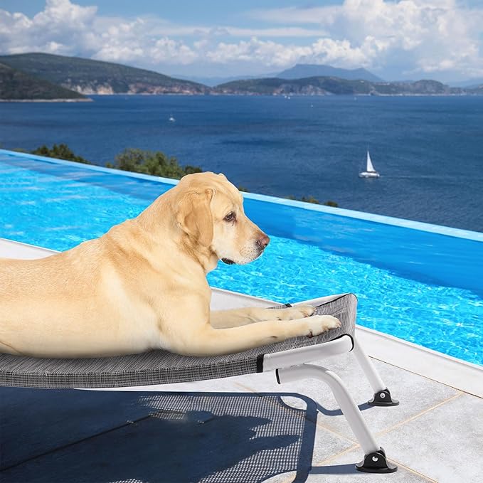 Veehoo Elevated Dog Bed for Outdoor, Cooling Waterproof Raised Dog Cots Beds for Large Dogs, Curved Off Ground Pet Hammock Cot Lifted for Outside, up to 85lbs, White Legs, Black Silver 42"