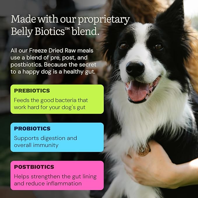 Get Joy Gut Health Fresh Freeze Dried Raw Meal, Chicken Recipe, 32 Ounce Bag, Dog Food for Dogs of All Breeds and Life Stages, PhD Animal Nutritionist Formulated, Made in USA