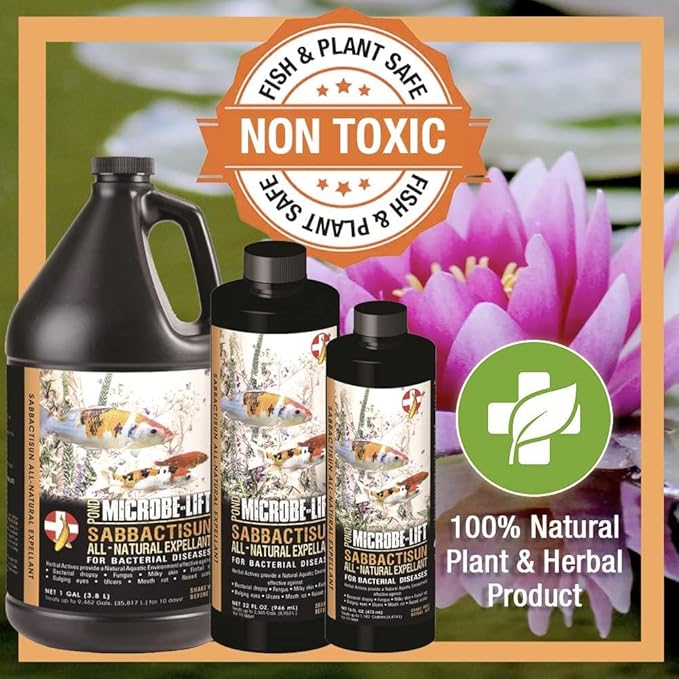 MICROBE-LIFT Sabbactisun Disease Treatment for Ponds and Outdoor Water Gardens, Disease Expellant for Pond Fish, 32 Fl Oz